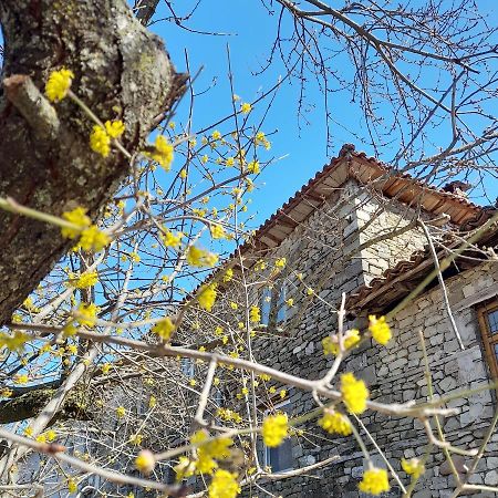 Bujtina Tusha Priska e Madhe Exterior foto