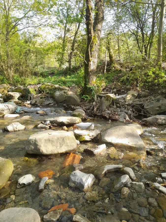 Bujtina Tusha Priska e Madhe Exterior foto