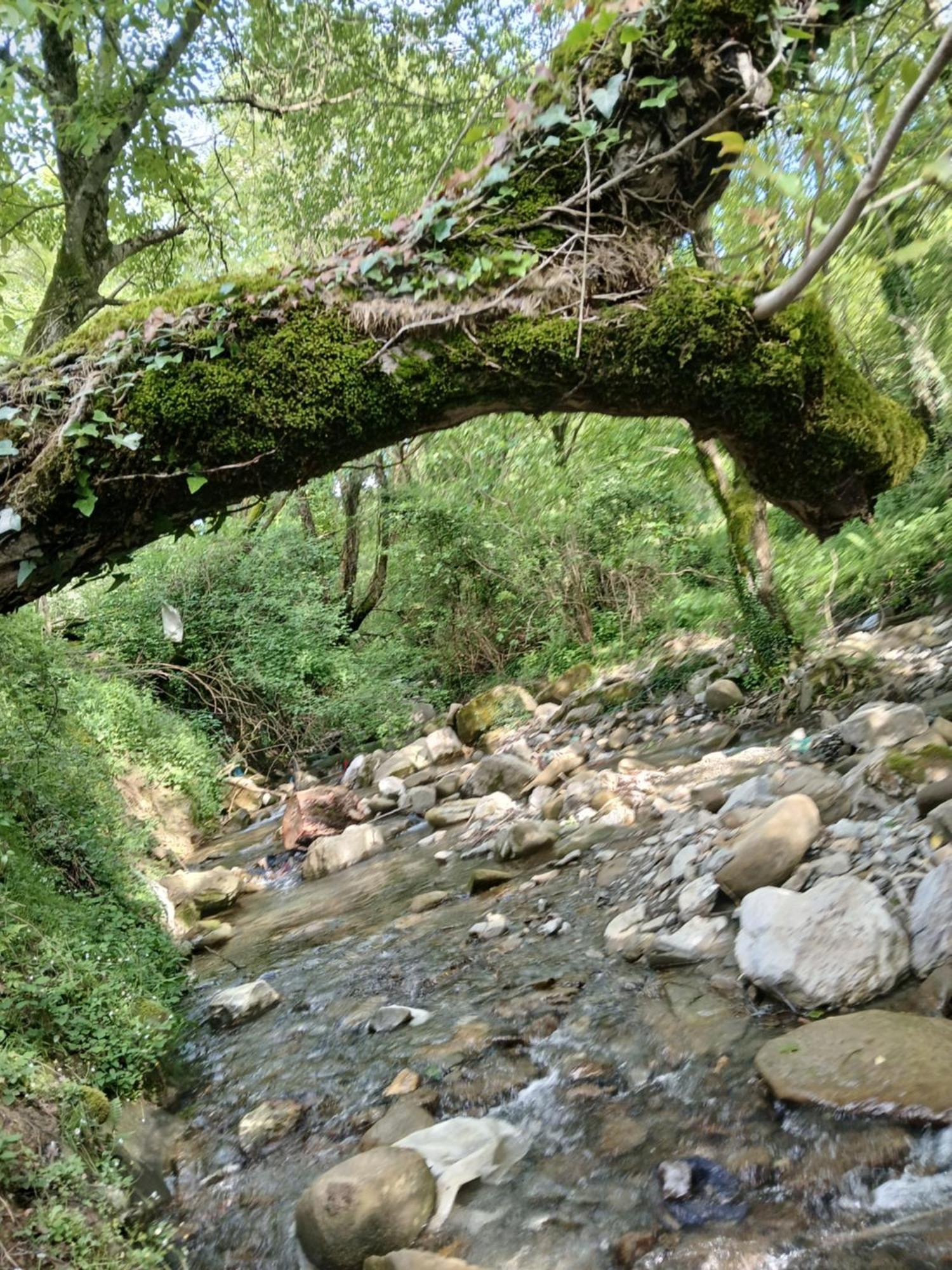 Bujtina Tusha Priska e Madhe Exterior foto
