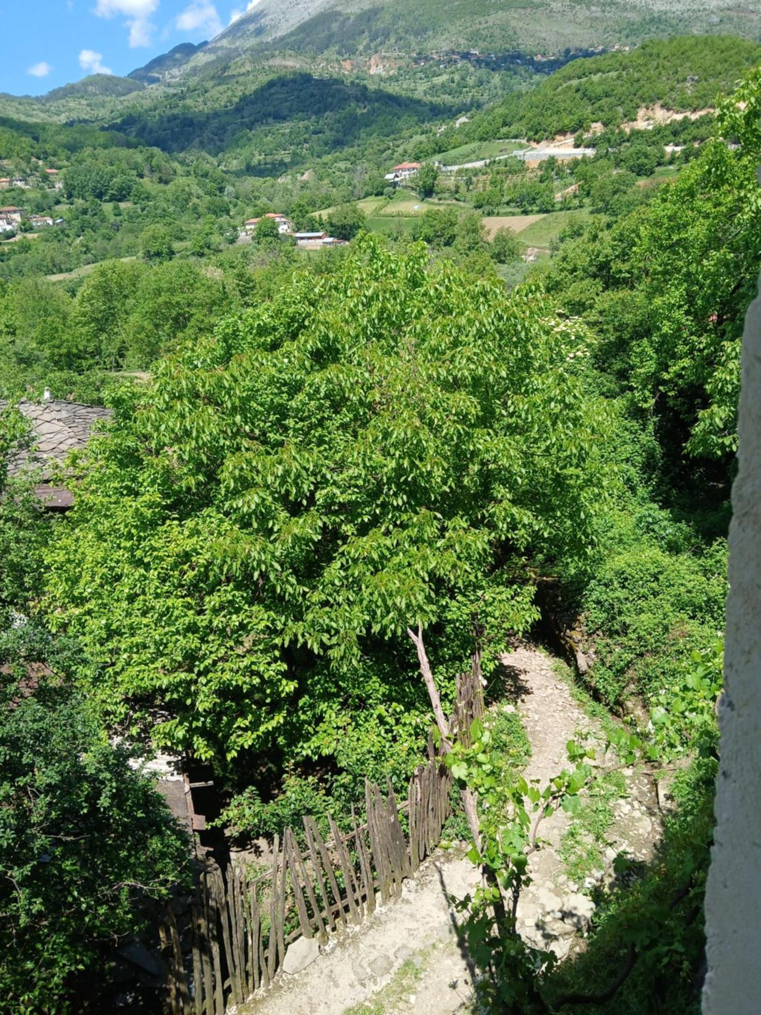Bujtina Tusha Priska e Madhe Exterior foto