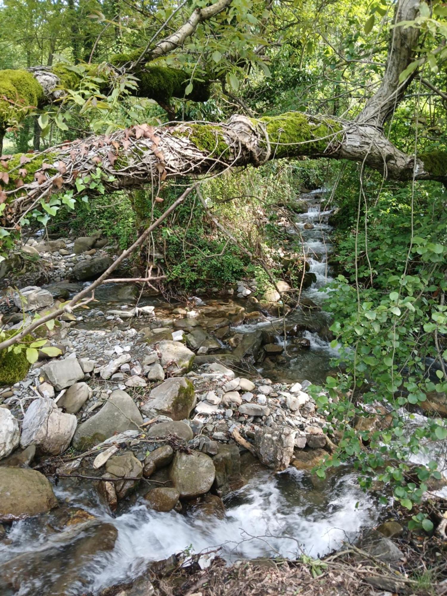 Bujtina Tusha Priska e Madhe Exterior foto