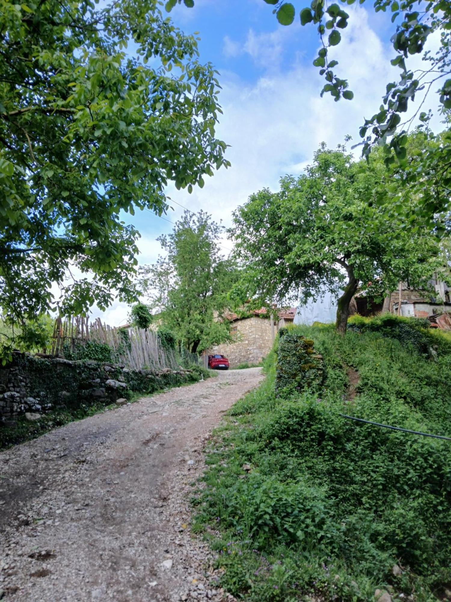 Bujtina Tusha Priska e Madhe Exterior foto