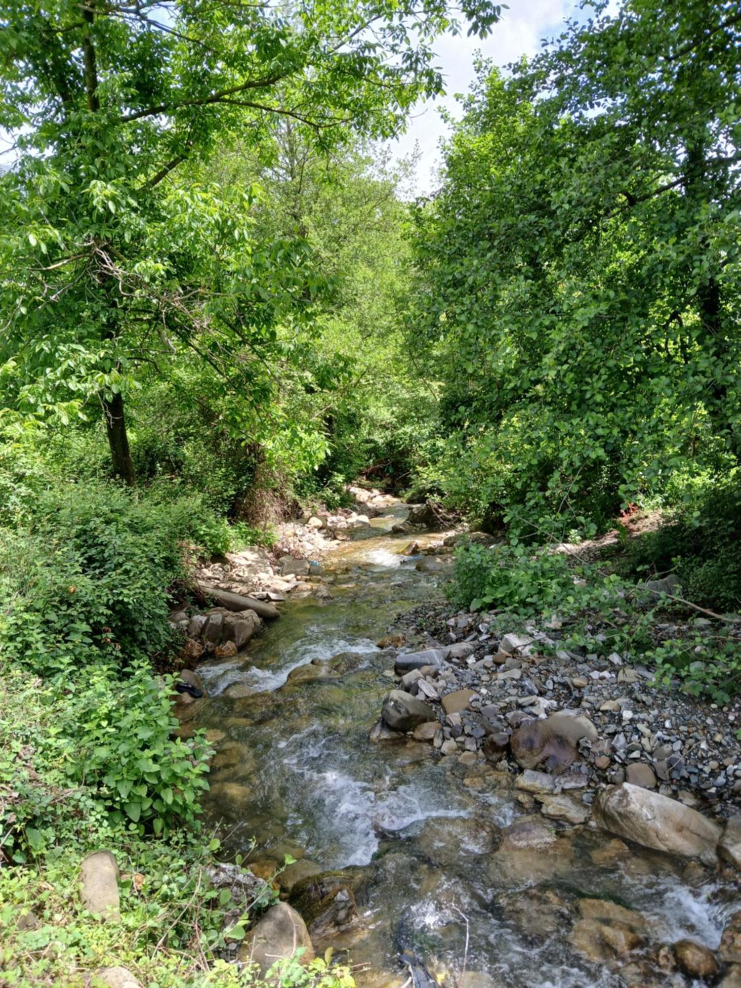 Bujtina Tusha Priska e Madhe Exterior foto